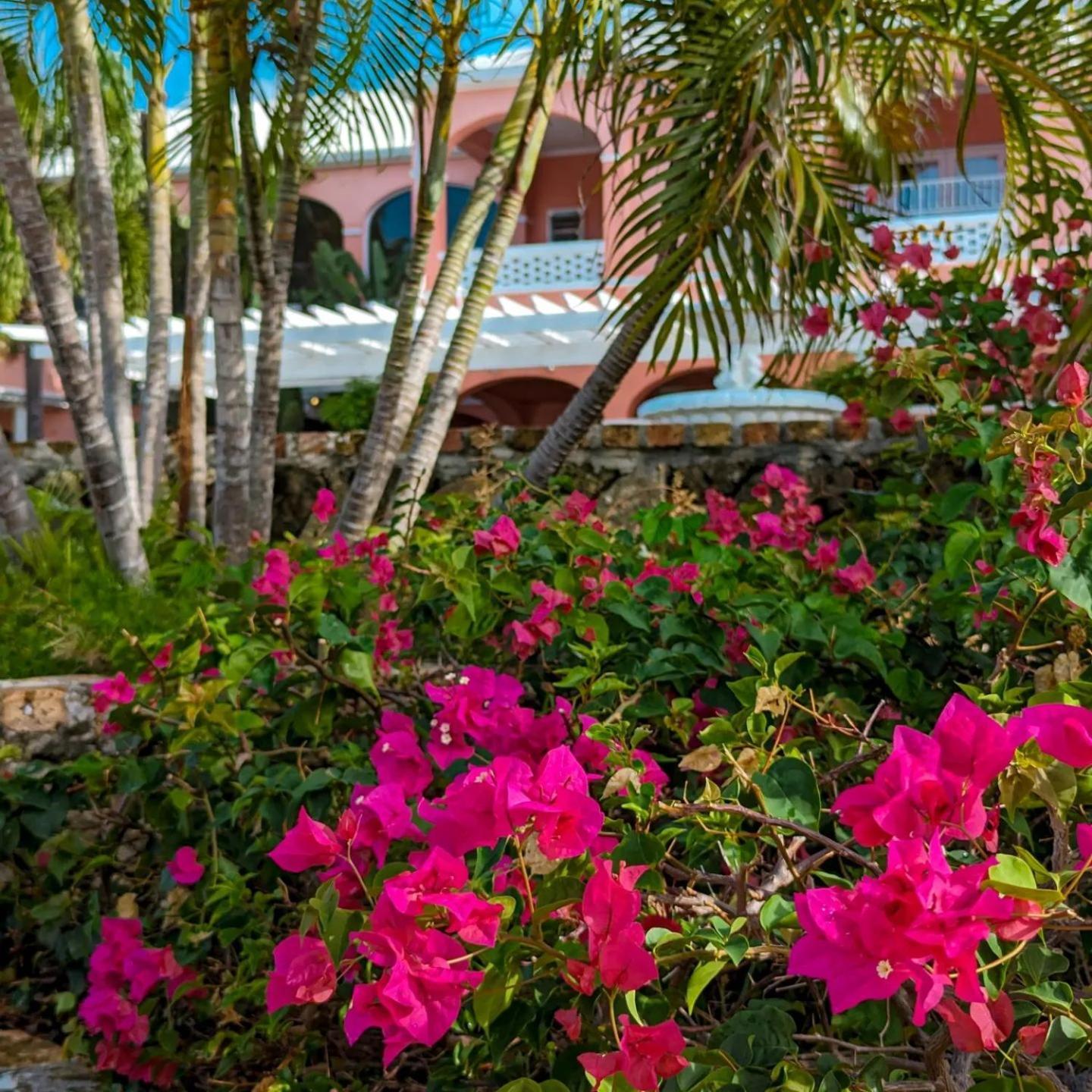 The Buccaneer Beach & Golf Resort Κρίστιανστεντ Δωμάτιο φωτογραφία